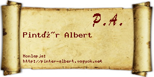 Pintér Albert névjegykártya