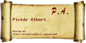 Pintér Albert névjegykártya